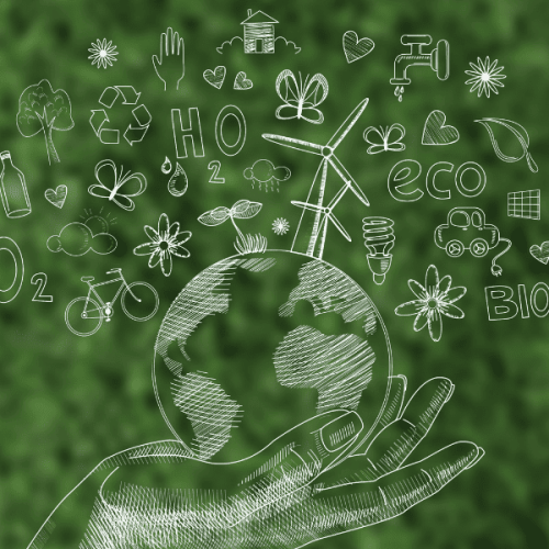 Profissões Verdes do Futuro: Como Atuar Como Freelancer Sustentável